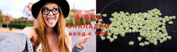 стаф Абаза