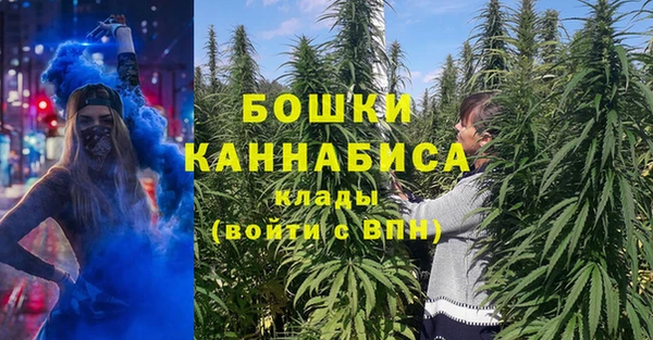 стаф Абаза