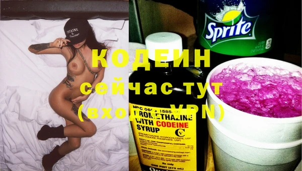 стаф Абаза