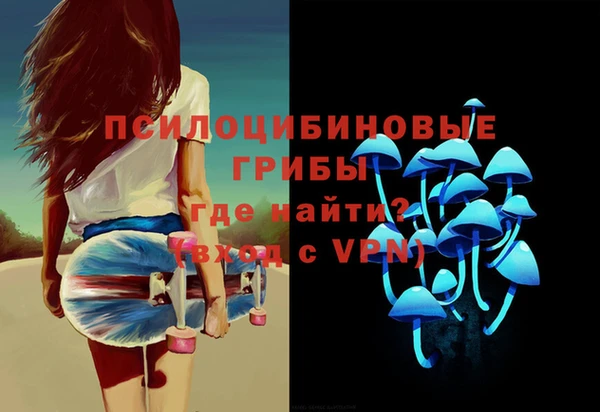 стаф Абаза