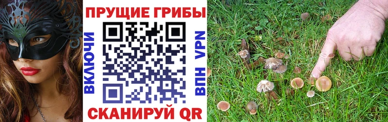 Псилоцибиновые грибы GOLDEN TEACHER  наркотики  Щучье 